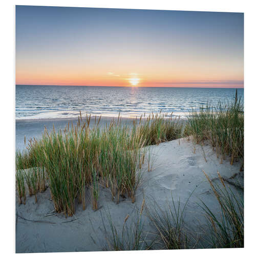 Foam board print Dune landscape at sunset