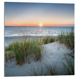 Gallery print Dune landscape at sunset