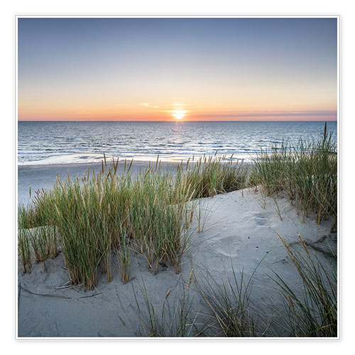 Poster Paesaggio di dune al tramonto