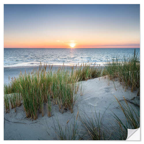 Naklejka na ścianę Dune landscape at sunset