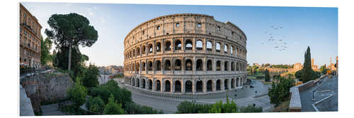 Foam board print The Colosseum in Rome at sunrise