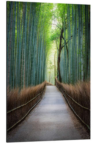 Quadro em alumínio Arashiyama Bambuswald, Kyoto, Japão