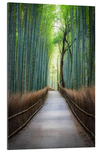 Galleritryk Arashiyama Bambuswald, Kyoto, Japan