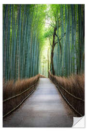 Selvklebende plakat Arashiyama Bambuswald, Kyoto, Japan