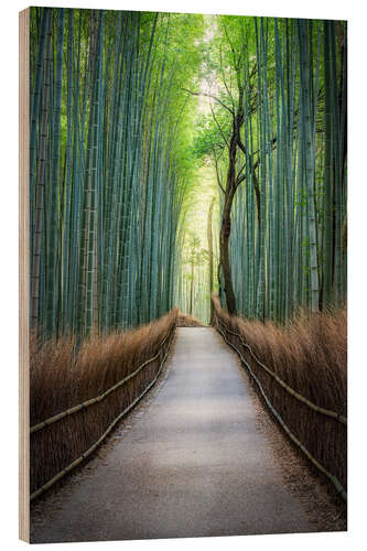 Puutaulu Arashiyama Bambuswald, Kyoto, Japan