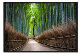 Gerahmter Kunstdruck Arashiyama Bambuswald
