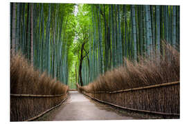 Tableau en PVC Forêt de bambous d'Arashiyama