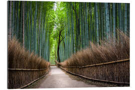 Gallery print Arashiyama bamboo forest