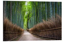 Magnettafel Arashiyama Bambuswald