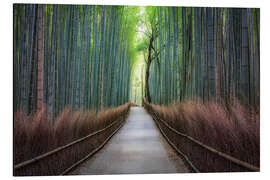 Quadro em alumínio Arashiyama Bambuswald em Kyoto, Japão