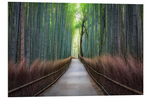 Tableau en PVC Arashiyama Bambuswald à Kyoto, Japon