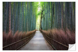 Sisustustarra Arashiyama Bambuswald in Kyoto, Japan