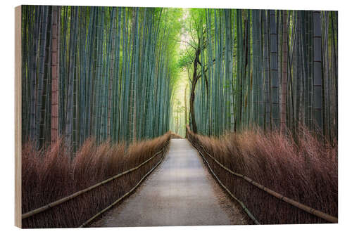 Puutaulu Arashiyama Bambuswald in Kyoto, Japan