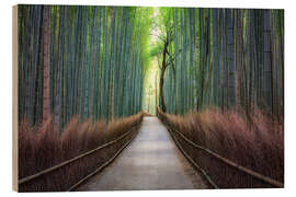 Puutaulu Arashiyama Bambuswald in Kyoto, Japan