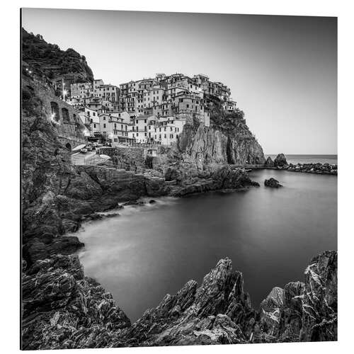 Aluminium print Manarola