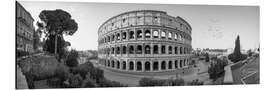 Aluminiumsbilde Colosseum panorama