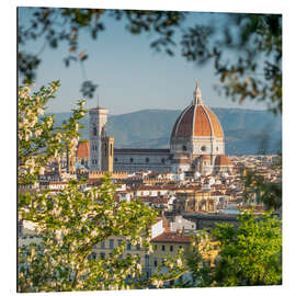 Alumiinitaulu Florence Cathedral