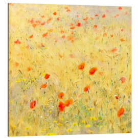 Tableau en aluminium Poppy flowers blowing in the wind