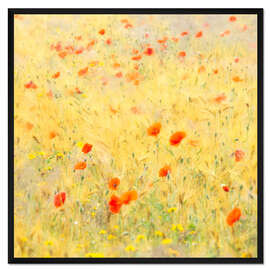 Gerahmter Kunstdruck Mohnblumen wehen im Wind