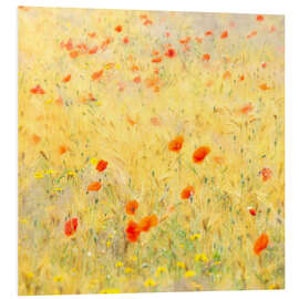 Foam board print Poppy flowers blowing in the wind