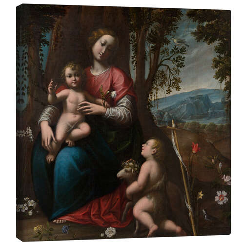 Quadro em tela Madonna and Child with the Infant Saint John the Baptist