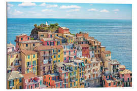 Aluminium print Manarola village