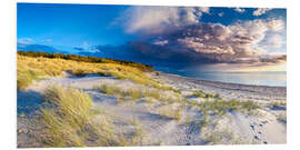 Foam board print Baltic Sea coast - dunes on the west beach