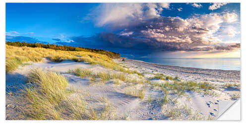 Sisustustarra Baltic Sea coast - dunes on the west beach