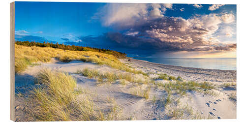 Tableau en bois Baltic Sea coast - dunes on the west beach