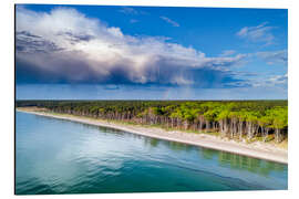 Aluminiumtavla The Baltic coast from above