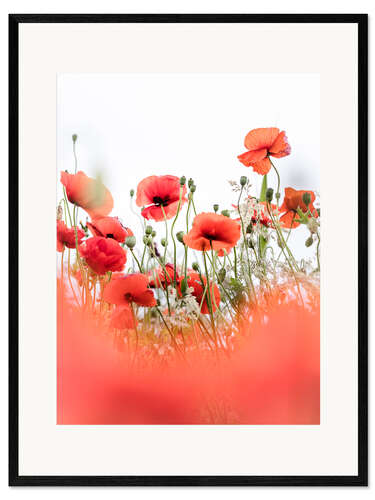 Impresión de arte enmarcada Cheerful Poppies