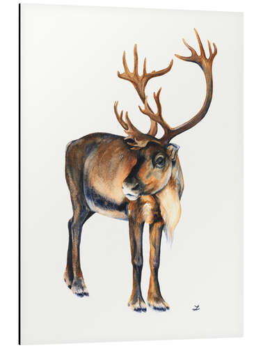 Aluminium print Caribou