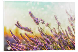 Magnettafel Funkelnder Lavendel