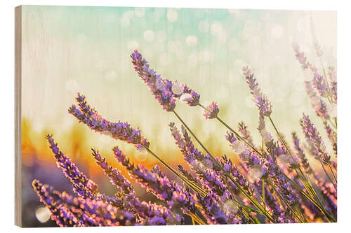 Tableau en bois Sparkling Lavender