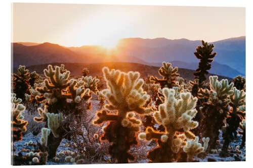 Akryylilasitaulu Cactus, California