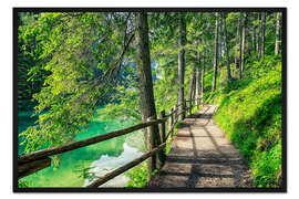 Gerahmter Kunstdruck Pfad im Wald