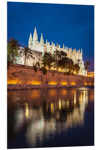 Bilde på skumplate Palma de Mallorca Cathedral in the evening