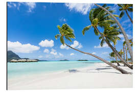 Magnettafel Sommerurlaub am Palmenstrand