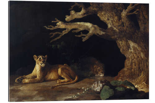 Galleriprint Lioness and cave