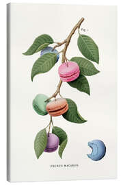 Leinwandbild  Macaron-Pflanze - Jonas Loose