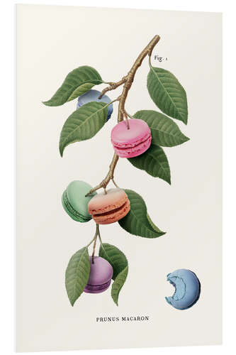 PVC-taulu Macaron Plant