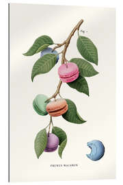 Gallery print Macaron Plant