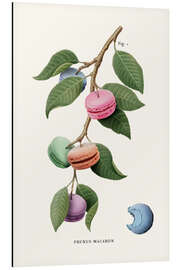 Magnettafel Macaron-Pflanze