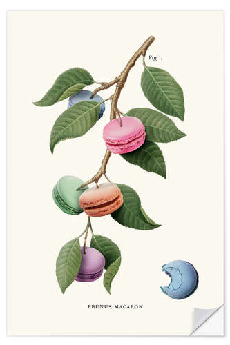 Självhäftande poster Macaron Plant