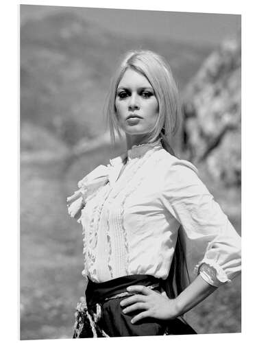 PVC-taulu Brigitte Bardot in Shalako