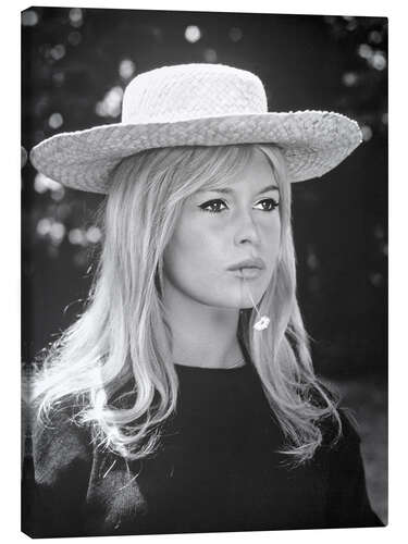 Leinwandbild Bardot in Privatleben, 1961