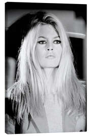 Canvas print  Brigitte Bardot Iconic Portrait