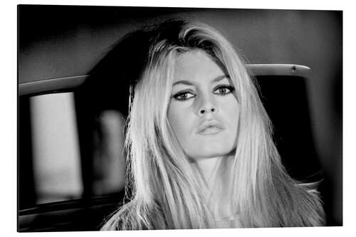 Aluminium print Brigitte Bardot in Two Weeks in September