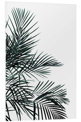 Tableau en PVC Palm tree in the wind