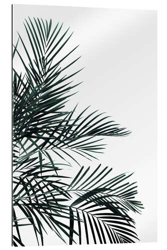 Gallery print Palm tree in the wind